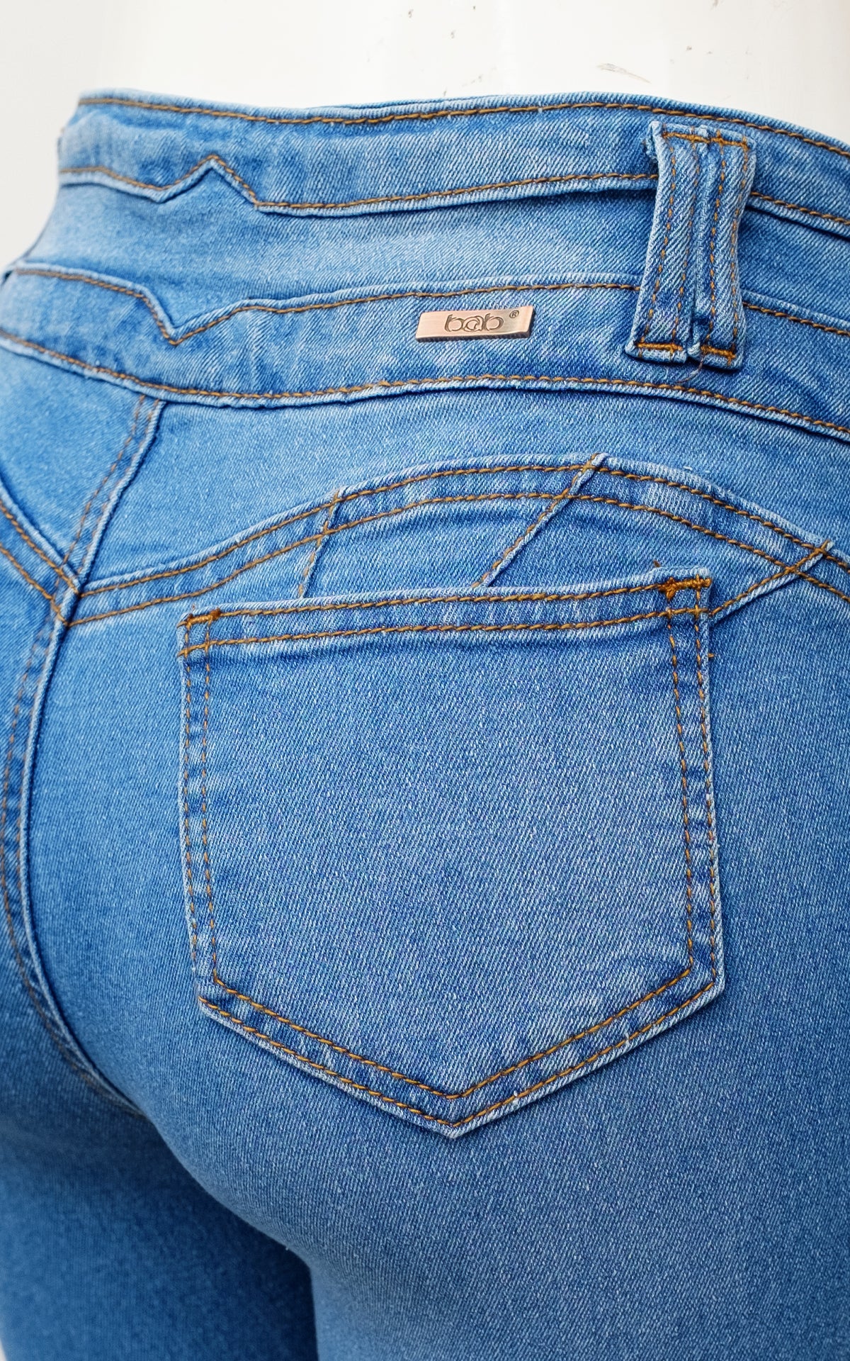 BL6009